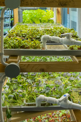 Similar image 21248949