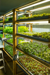 Similar image 21248951