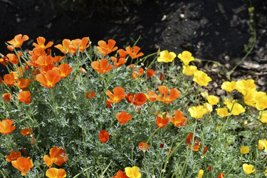 Similar image 21234475