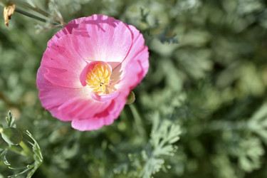 Similar image 21240604