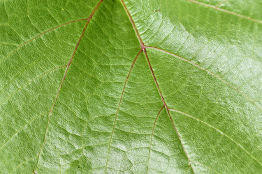 Similar image 21227397