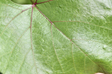 Similar image 21227398