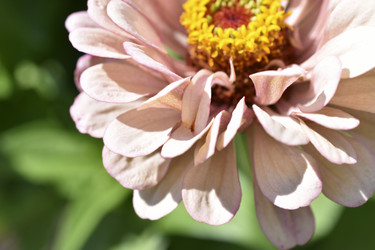 Similar image 21227401