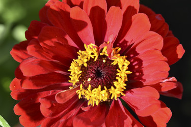 Similar image 21227403