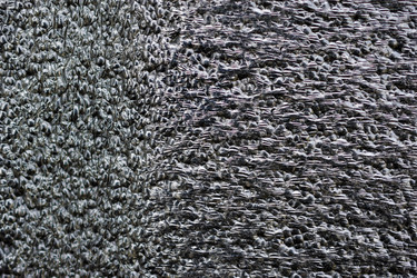 Similar image 21227406