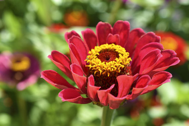 Similar image 21227407