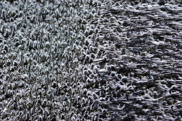 Similar image 21227408