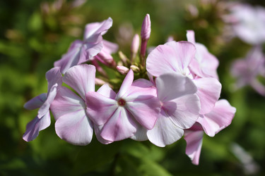 Similar image 21227410