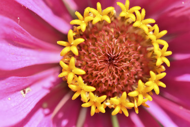 Similar image 21227411