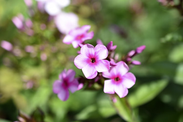 Similar image 21227412