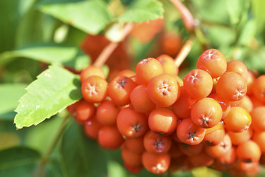 Similar image 21227413