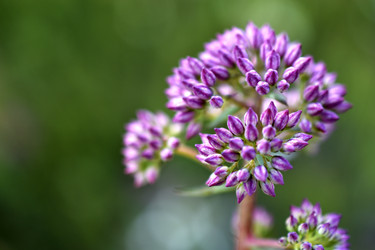 Similar image 21233738