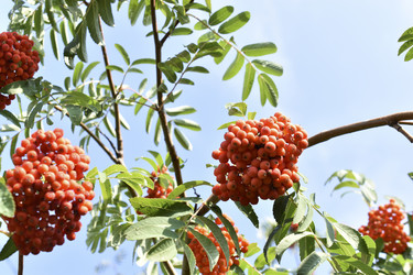 Similar image 21233740