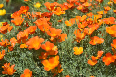 Similar image 21234448