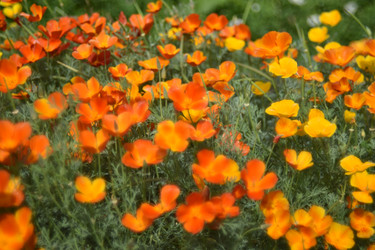 Similar image 21234450