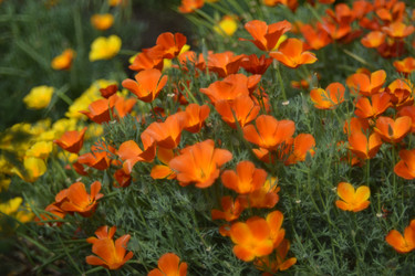 Similar image 21234476