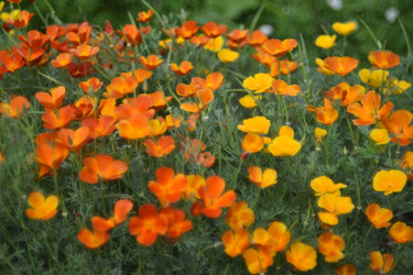 Similar image 21234478