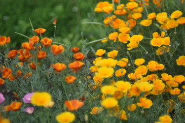 Similar image 21234482