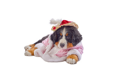 Similar image 21249724