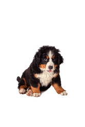 Similar image 21249804