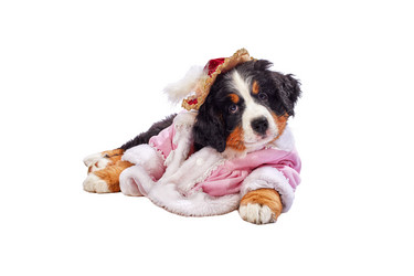 Similar image 21256229