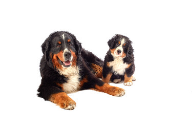 Similar image 21256233