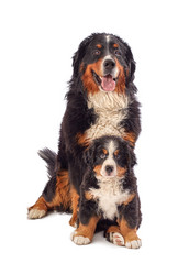 Similar image 21256239