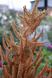 Similar image 21227423