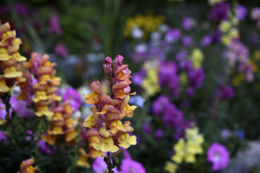 Similar image 21227424