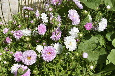 Similar image 21227426