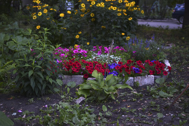 Similar image 21227427