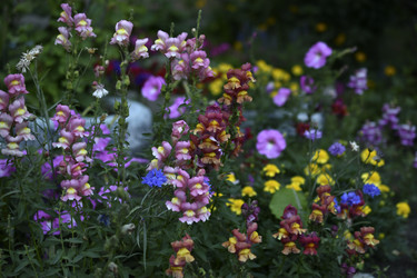 Similar image 21227428