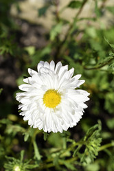 Similar image 21227430