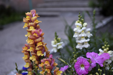 Similar image 21227431