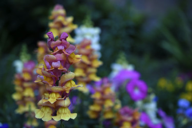 Similar image 21233742