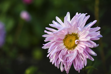 Similar image 21234453