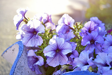 Similar image 21234454