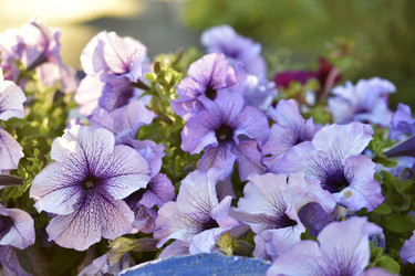 Similar image 21234455