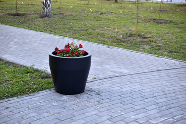 Similar image 21234488