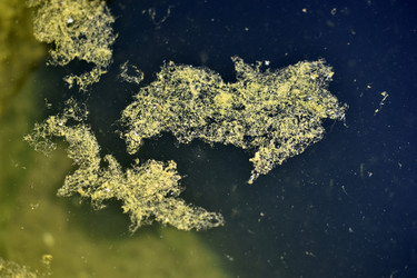 Similar image 21234490