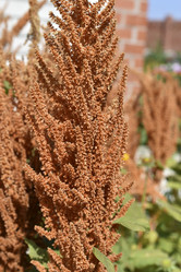 Similar image 21234492