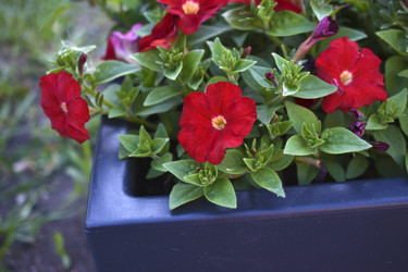 Similar image 21234494