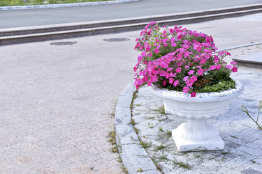 Similar image 21234495