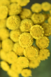 Similar image 21234497