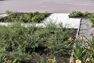 Similar image 21240606