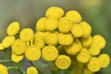 Similar image 21240610