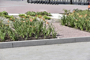 Similar image 21240611