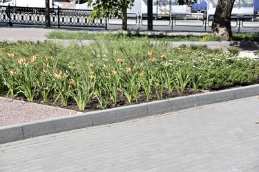 Similar image 21240612