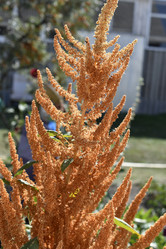 Similar image 21240614