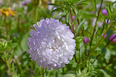 Similar image 21240615